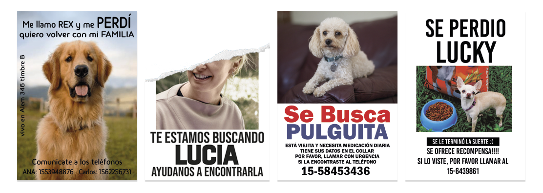 Perdidos 2