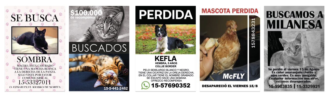 Perdidos 1